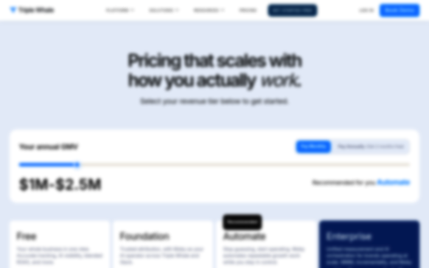 Screenshot of Triple Whale's pricing page showing its plans and prices